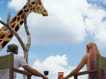 Cuánto cuestan las experiencias exclusivas de Áfricam Safari 2022