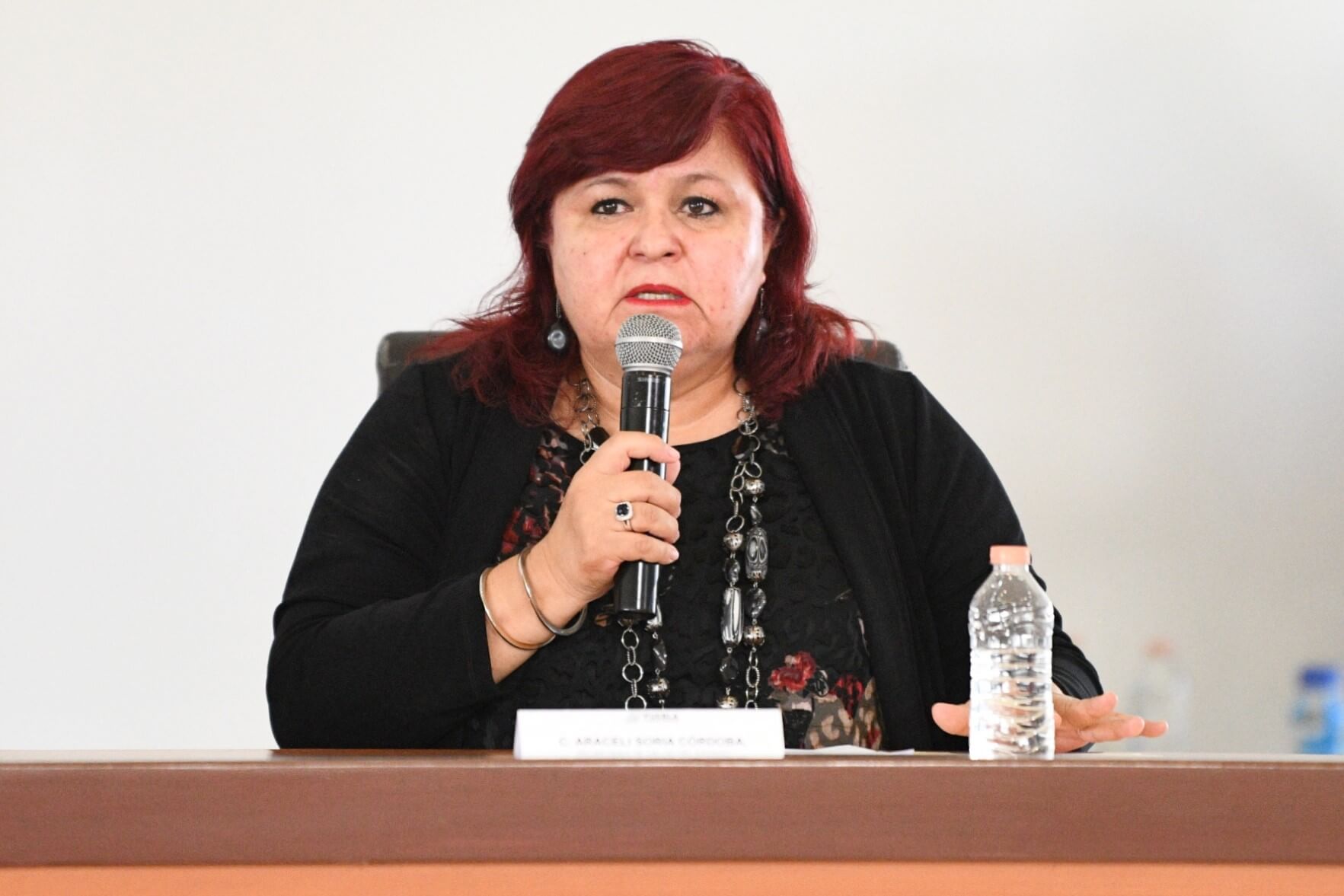 La titular de la dependencia, Araceli Soria Córdoba, destacó que en las últimas 24 horas no se reportaron defunciones por dengue. 

Foto: Producción El Universal Puebla