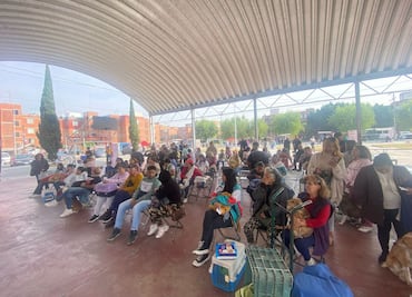 Gobierno de la Ciudad realizó con éxito jornadas de protección animal en diferentes puntos