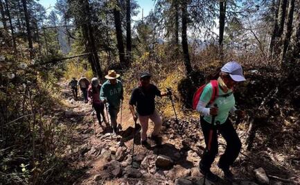 Cómo llegar al increíble santuario de catarinas desde Puebla