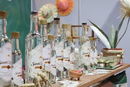 Mezcal, gastronomía y mixología: así será el Encuentro Nacional en Puebla