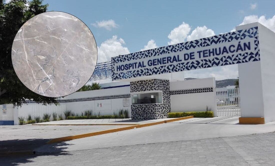 En el Hospital de Tehuacán se cuenta que hay fósiles en los pisos | Foto: Captura de pantalla Tiktok @Tehuacanleyendas
