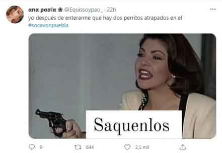 El rescate de los perros Spike y Spay en el socavón de Puebla en fotos y video