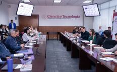 Secihti articula sistema científico para anticipar arribazones de sargazo al Caribe mexicano