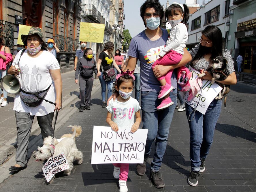 Foto: Agencia Enfoque para El Universal Puebla