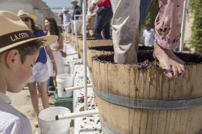 México es sede del Congreso Mundial de la Viña y el Vino; Puebla, entre los nuevos productores