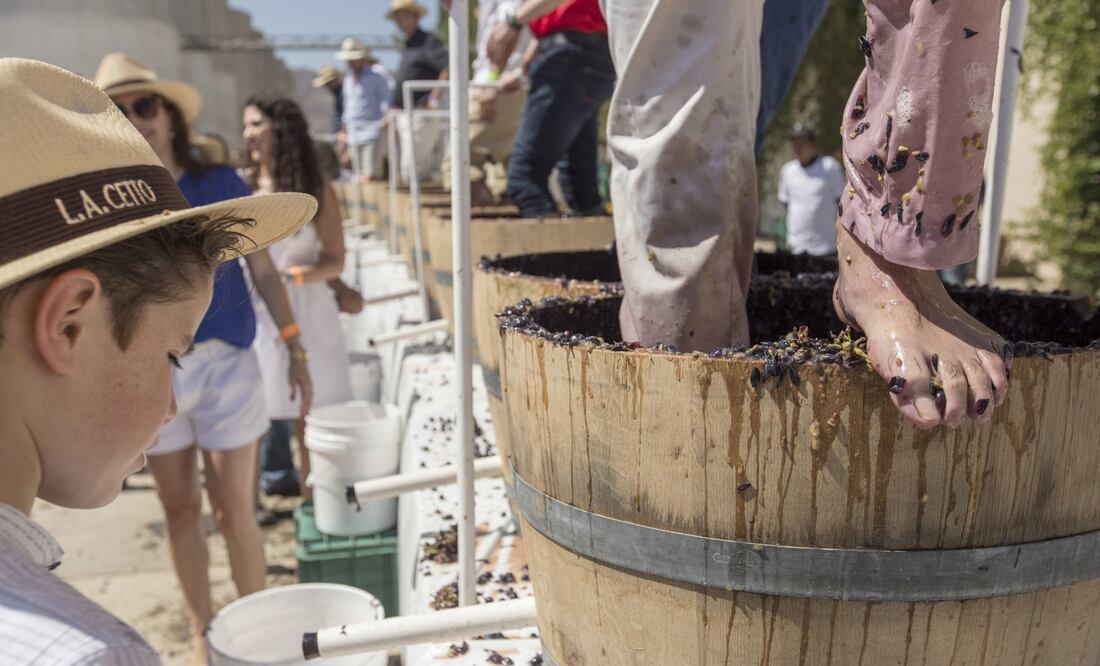 Puebla ofrece algunas opciones para catar vino cerca de la Ciudad de México. Foto: Cuartoscuro