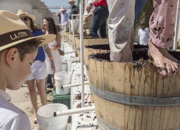 México es sede del Congreso Mundial de la Viña y el Vino; Puebla, entre los nuevos productores