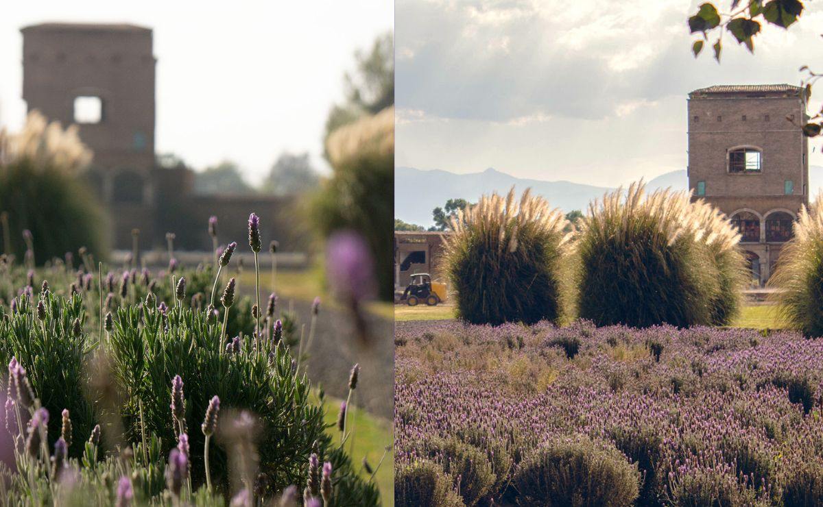 Este es el lugar más instagrameable de Val'Quirico que debes visitar