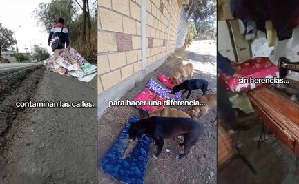 Joven reusa basura electoral y fabrica camas para perritos callejeros, ya es viral