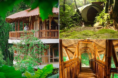 El Pueblo Mágico con cabañas en la selva perfecto para una escapada desde CDMX