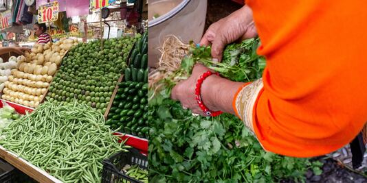 Precio del manojo de cilantro alcanza hasta los 600 pesos por las sequías
