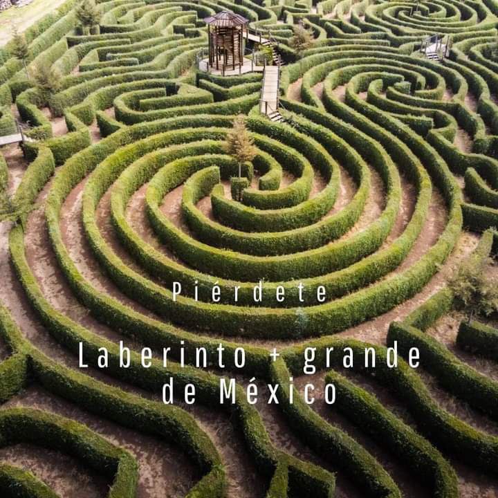 Este es el laberinto más grande de México | Facebook Alpinia