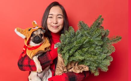 Pensiones para mascotas; así puedes elegir la mejor, según la Profeco