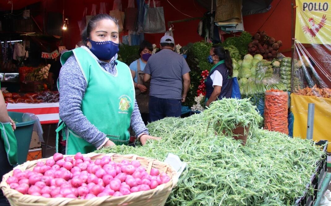 Las lluvias y heladas han afectado la cosecha, reduciendo la disponibilidad de romeritos, un ingrediente esencial en las celebraciones navideñas.
Foto: Producción El Universal Puebla