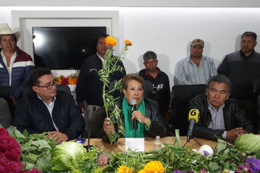 La diputada Modesta Delgado dio conferencia de prensa | Foto: Congreso del Estado de Puebla