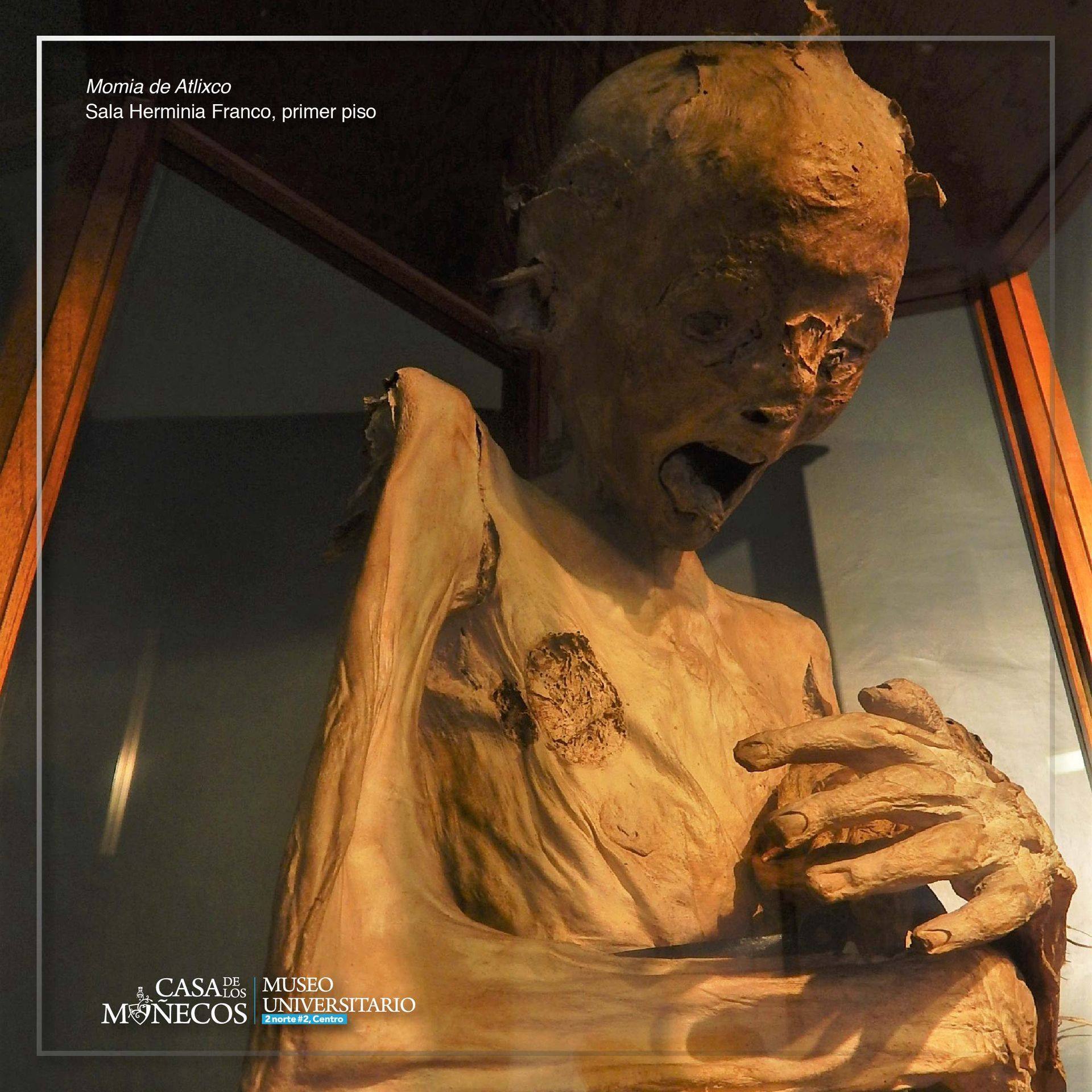 Foto: Facebook Museo Universitario Casa de los Muñecos