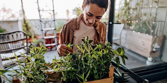 Estas son las plantas que absorben las malas vibras de tu hogar