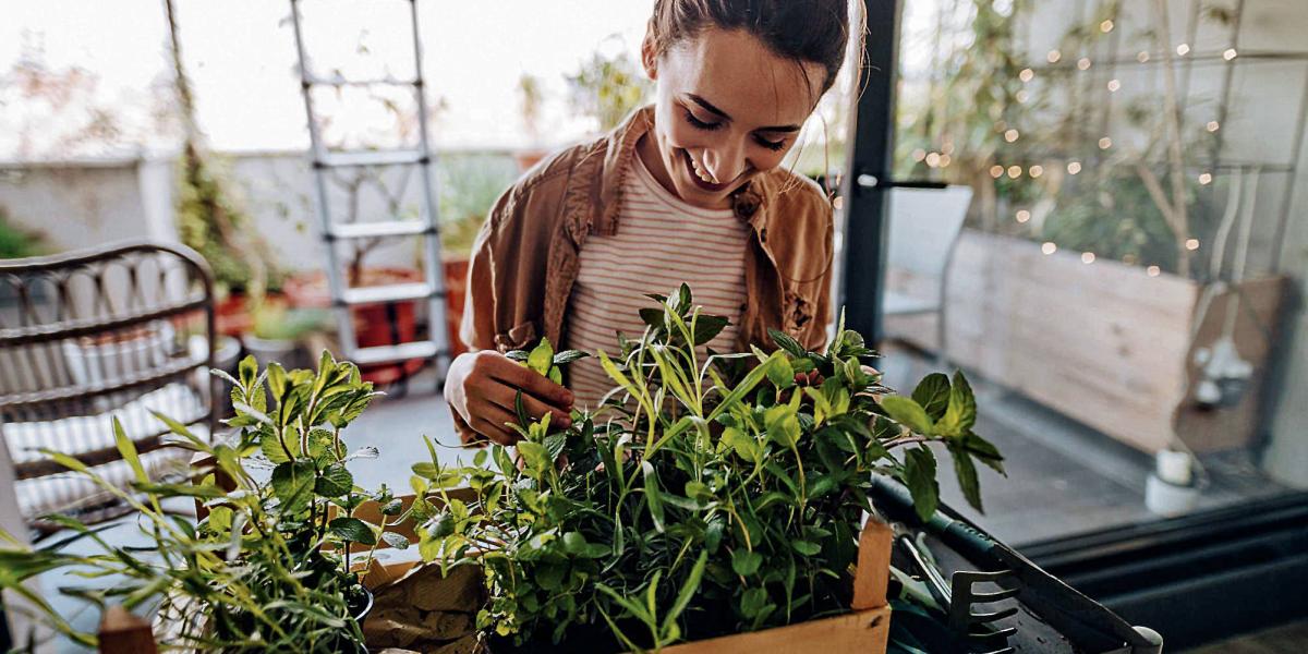 En numerosas tradiciones religiosas, las plantas son consideradas simbólicas a nivel espiritual, revitalizadoras, curativas, e incluso pueden funcionar como intermediarias entre el mundo terrenal y el divino. 

Foto: Producción El Universal Puebla