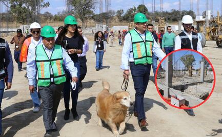 Avanza construcción de Centro de Bienestar Animal; dignificará atención de seres sintientes