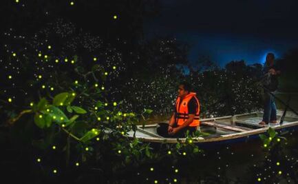Llegaron las luciérnagas a Tlatlauquitepec, aquí te decimos cómo verlas 