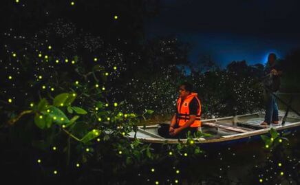 Llegaron las luciérnagas a Tlatlauquitepec, aquí te decimos cómo verlas