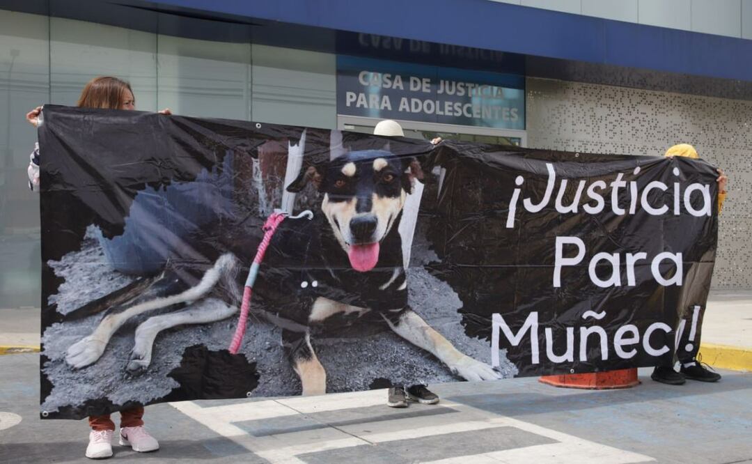 Un menor fue vinculado a proceso por el caso de abuso sexual contra una la perrita "Muñeca" | Foto: Agencia Es Imagen para El Universal Puebla