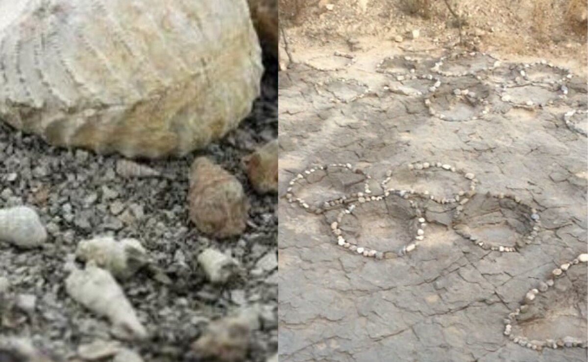 Esto es lo que puedes encontrar en el municipio donde hubo mar en Puebla I Foto: Especial