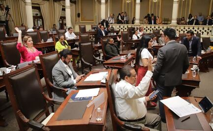 ¿Qué estudios se requieren para ser diputado? No solo hay que calentar la silla