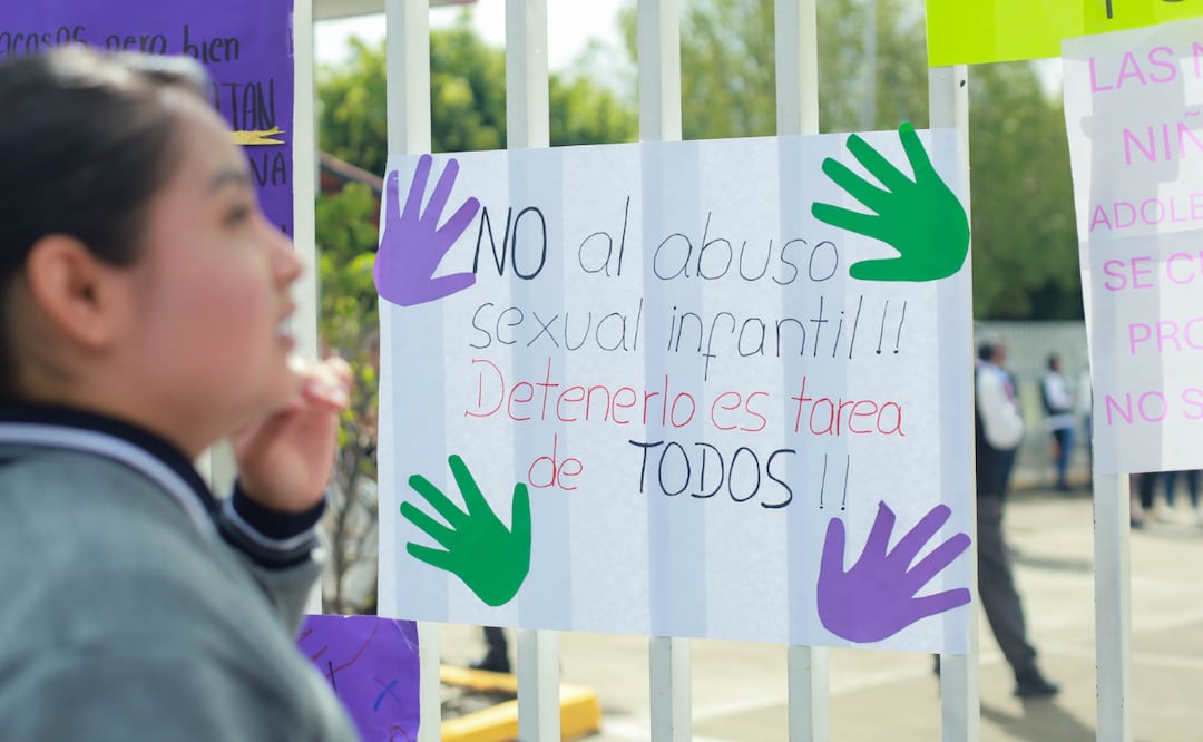 La diputada Delfina Pozos propuso reformar el Código Penal | Foto: EsImagen