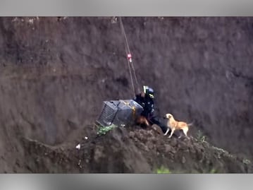 Bombero héroe. Él salvó a los perritos del socavón