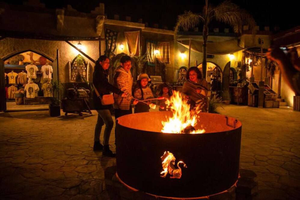 El Moon Safari es una experiencia salvaje y nocturna que puedes vivir en Puebla | Foto: Africam Safari