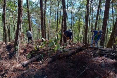 ¿Está permitida la cacería en Puebla?