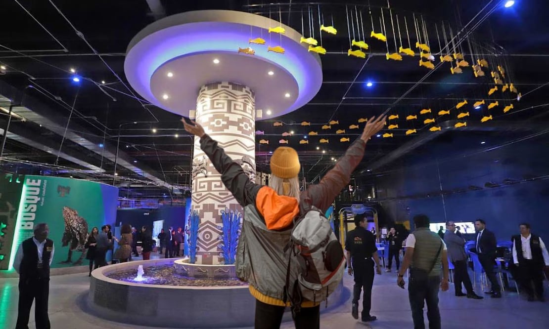 Esto cuesta visitar el Acuario Michin en Puebla | Foto: Producción El Universal