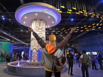 Precio y cómo llegar desde la CDMX al Acuario Michin en Puebla