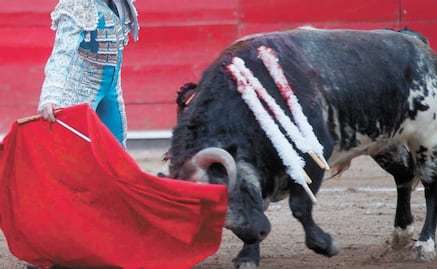 Aprueban en comisiones prohibir corridas de toros en CDMX