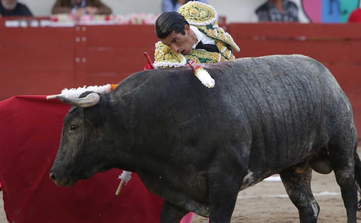 Corridas de toros no son rentables, aseguran animalistas