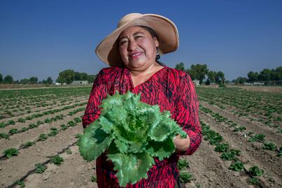 ¿Eres agricultor en Puebla?  Conoce los requisitos para acceder al programa Fertilizantes para el Bienestar