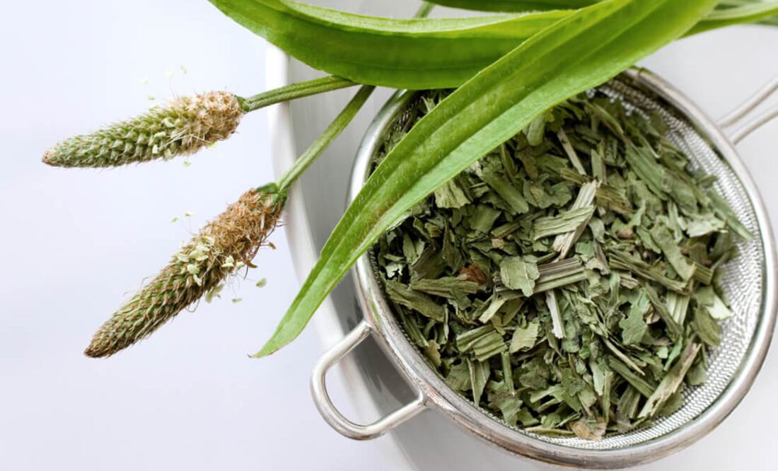 Aunque los beneficios para la salud son mayores si se deja de fumar a una edad temprana, abandonar el cigarrillo produce ventajas en cualquier etapa de la vida.
Foto: Producción El Universal Puebla