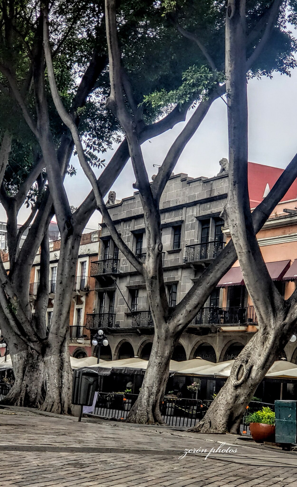 El edificio de los leones es un peculiar inmueble en el Centro Histórico | Facebook Puebla Antigua