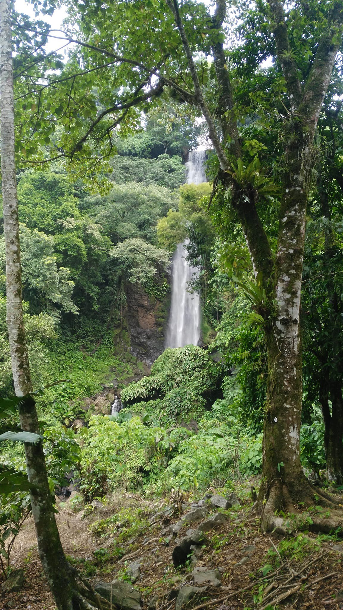 Foto: Benigno Valderrabano