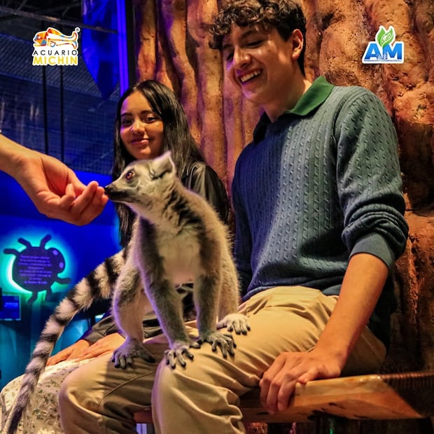 Foto: FB Acuario Michin Puebla