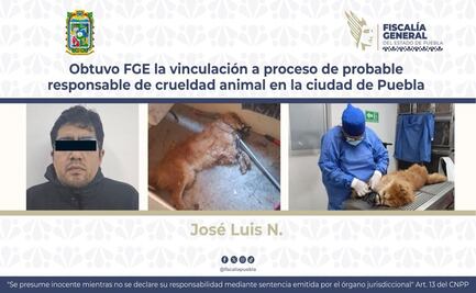 Obtuvo FGE la vinculación a proceso de probable responsable de crueldad animal en la ciudad de Puebla