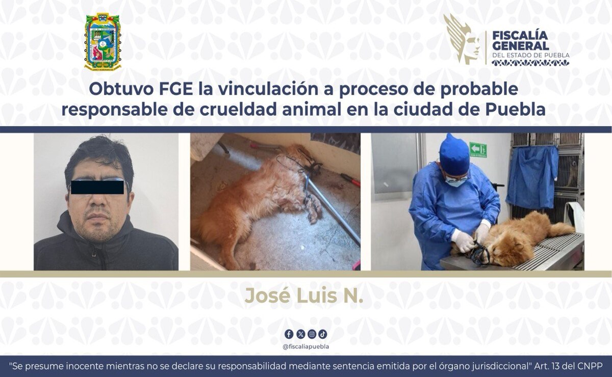 Obtuvo FGE la vinculación a proceso de probable responsable de crueldad animal en la ciudad de Puebla