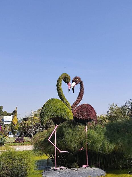 El Jardín Mágico de Atlixco te hará sentir en un cuento | Angeles Bretón