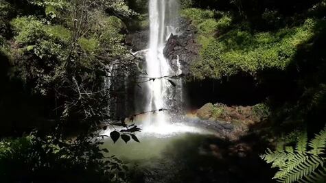 5 cascadas en Puebla que no te puedes perder estas vacaciones