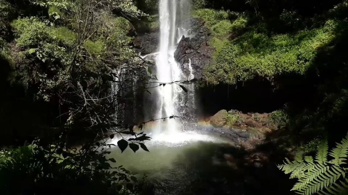 Cascadas de Puebla que debes conocer en vacaciones
