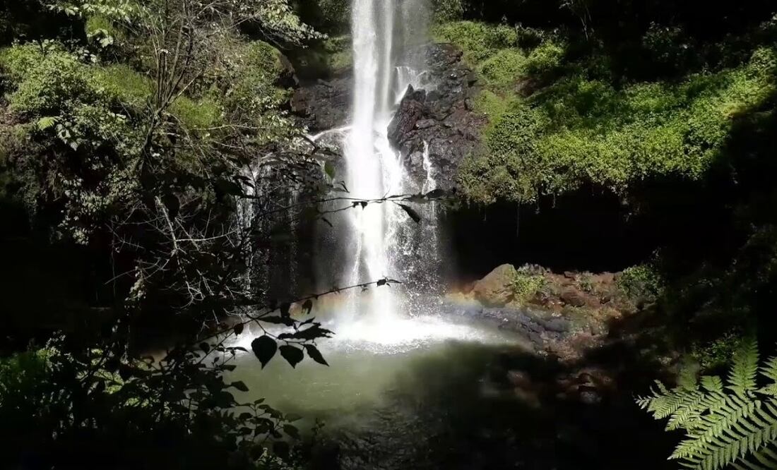 Cascadas de Puebla que debes conocer en vacaciones