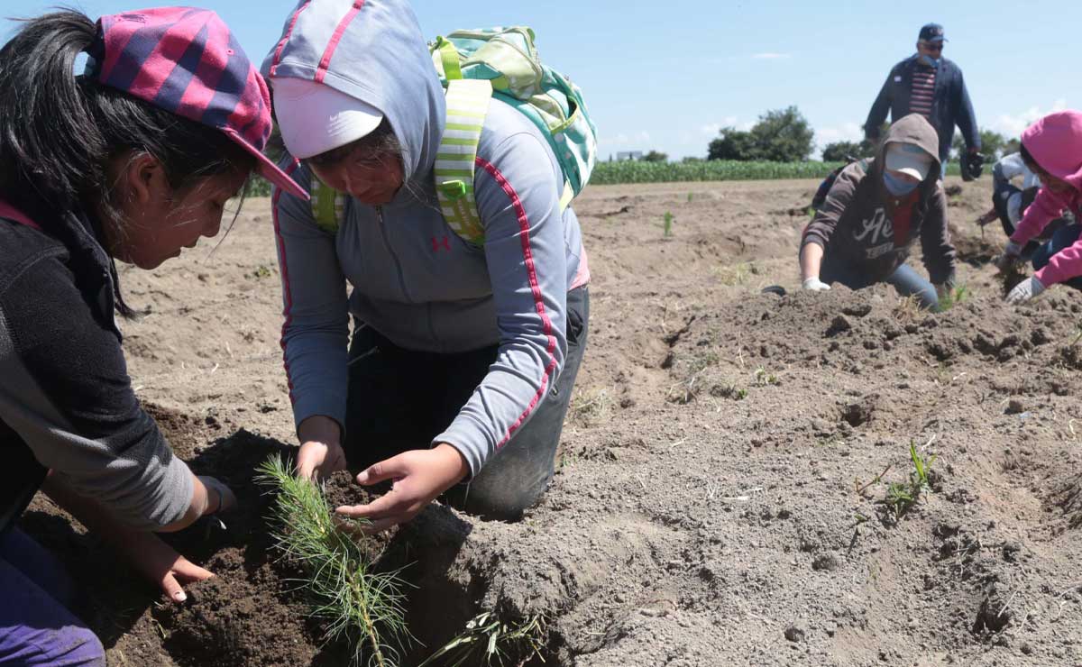 Gobierno de Israel brinda capacitación en Puebla para fomentar el desarrollo agrícola