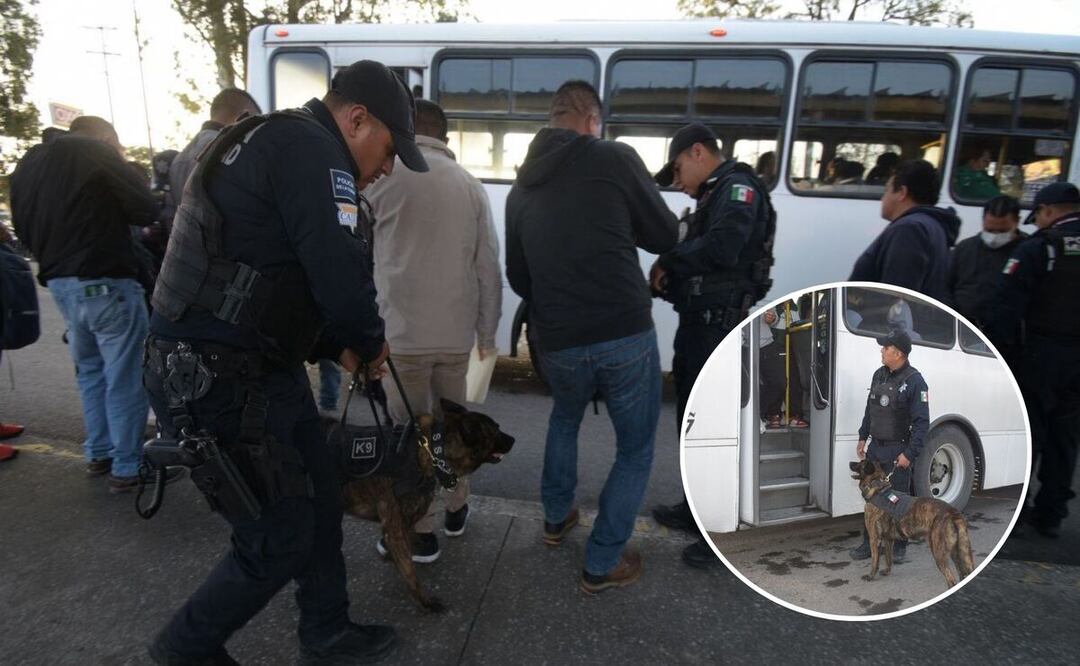 En estos operativos, se trabaja con personal de las 10 Zonas Operativas, Grupos Especiales y binomios de la Unidad Canina K9 | Foto: SSC Puebla